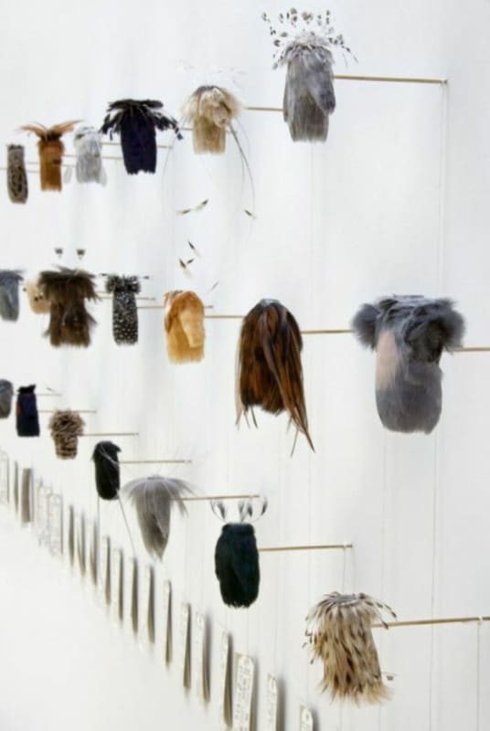 Image: Jane Edden Ornithomorph Features on Aesthetica Magazine Blog