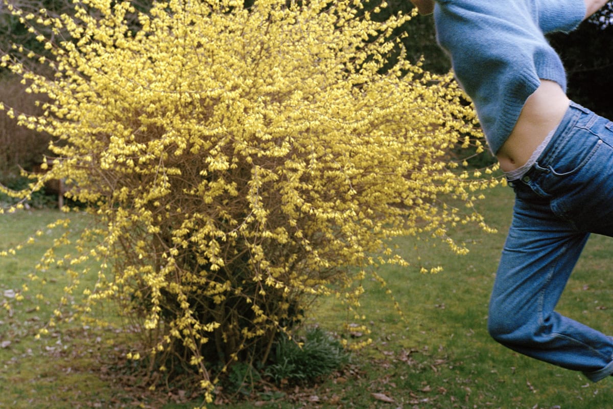 Image: Gabby Laurent