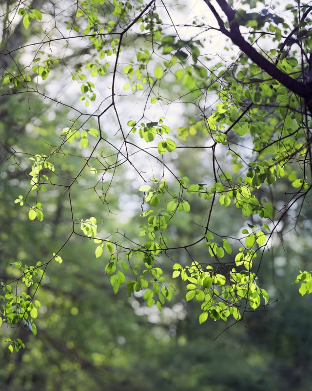 Image: Works from Janelle Lynch's Another Way of Looking at Love