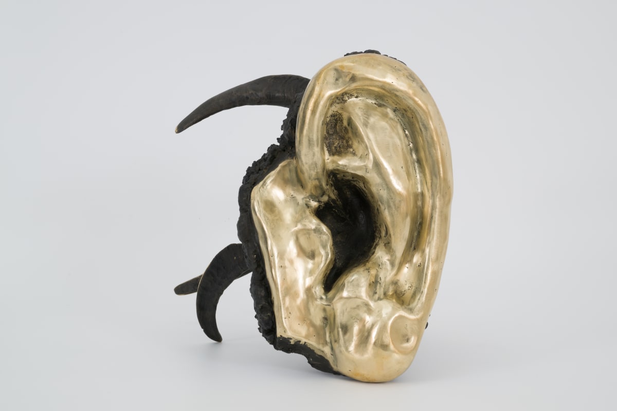 Image: Jantsankhorol Erdenebayar