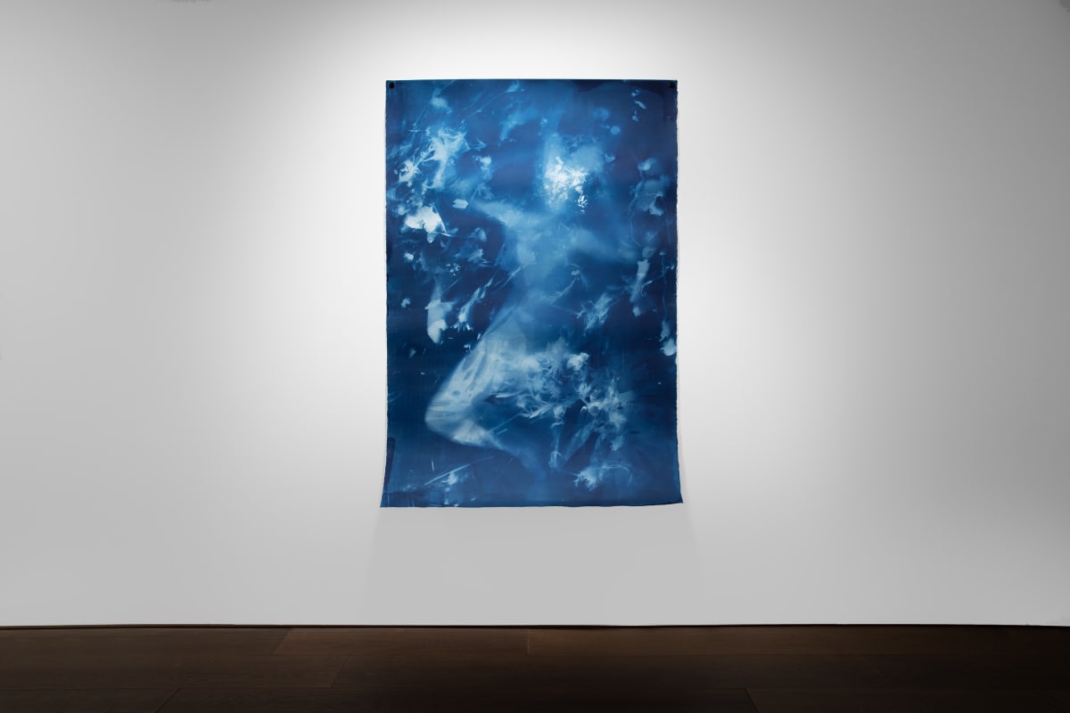 Image: Janelle Lynch Endless Forms Most Beautiful