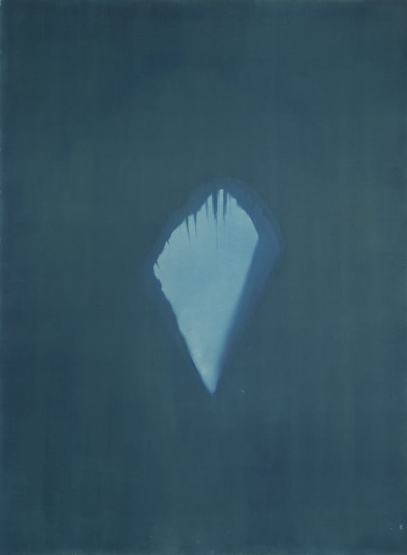 Image: Janelle Lynch