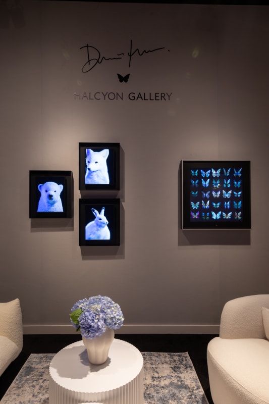 Salon Art And Design 2023 Halcyon Gallery