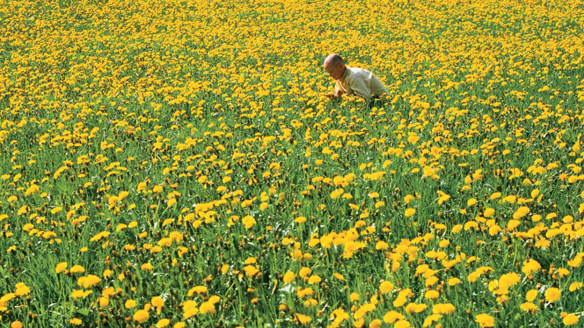 Image: Wolfgang Laib