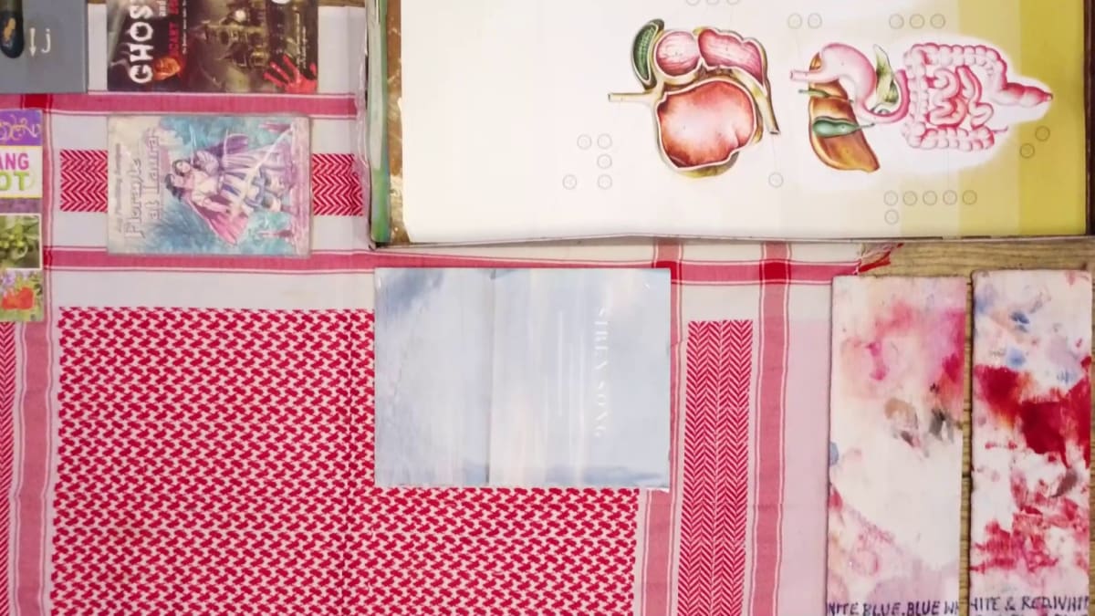 Image: Lunchtime online talk: Mandy EL-SAYEGH, Helena HUNTER, Renan LARU-AN