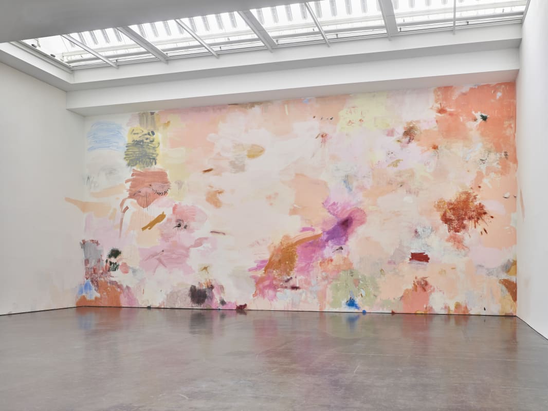 Image: Openings: Megan Rooney