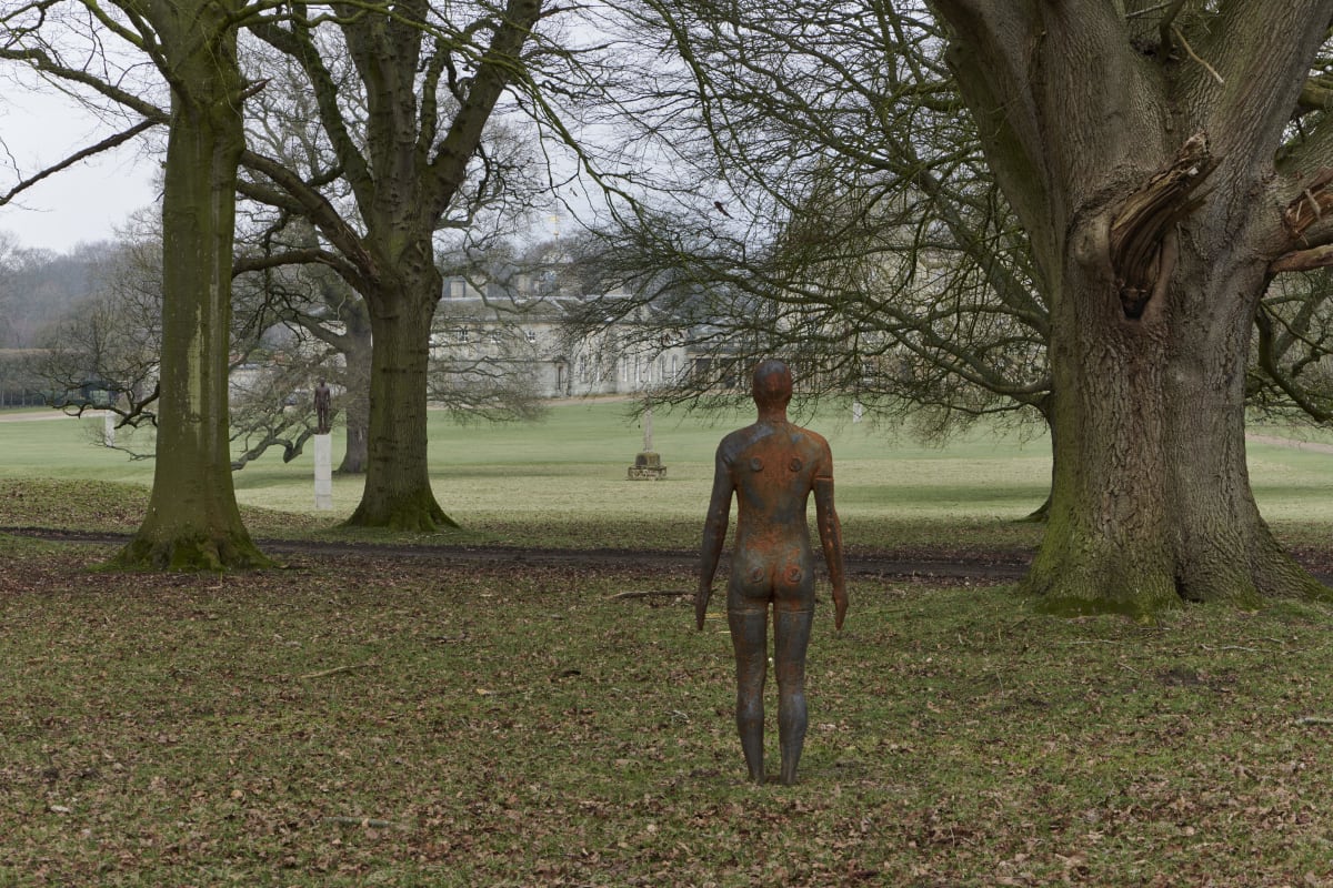 Image: Antony Gormley