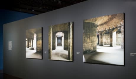 Image: Claire Adelfang