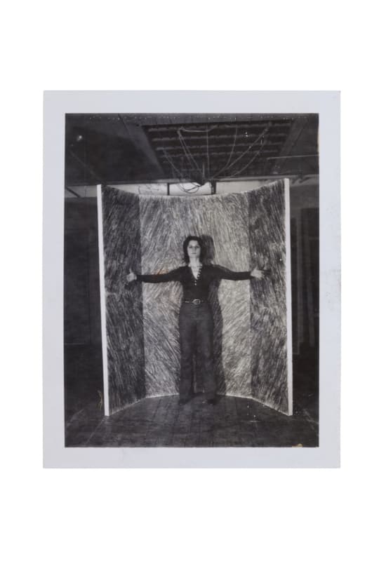 Image: Rosemarie Castoro: Paintings 1964-1966