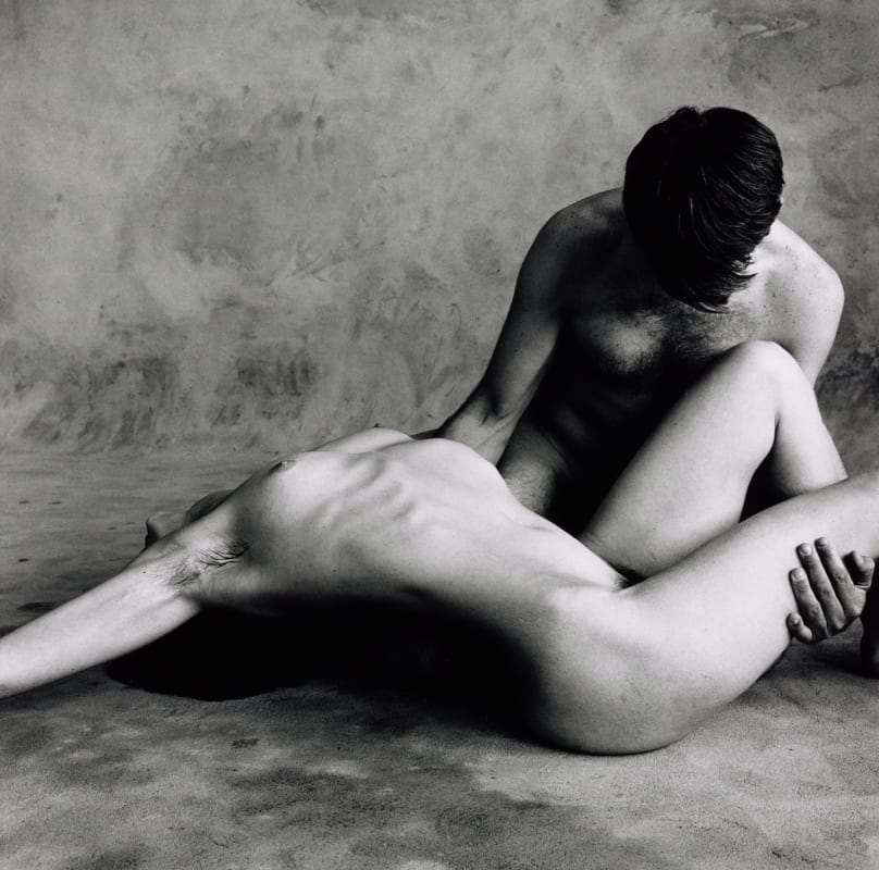 Image: Irving Penn in reminiscence of Paul Cézanne's The Bathers