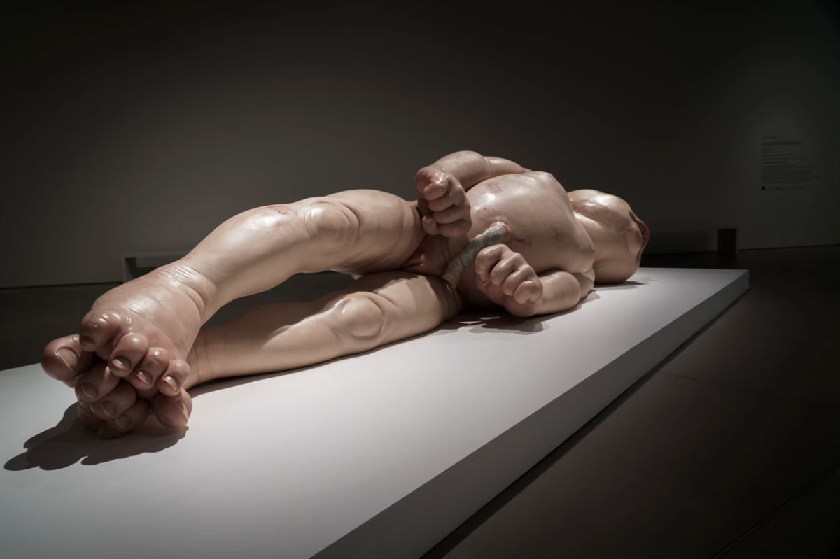 Ron Mueck – Art and Life | Solo show at ARoS | Thaddaeus Ropac