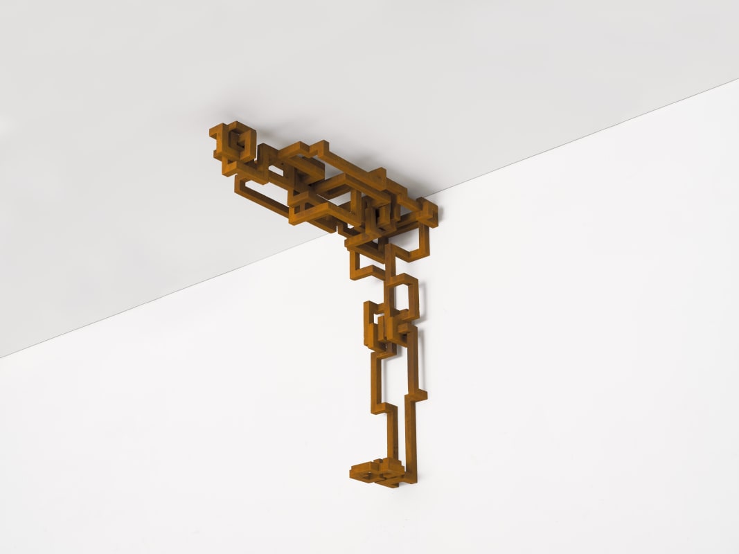 Image: Antony Gormley: Inextricable