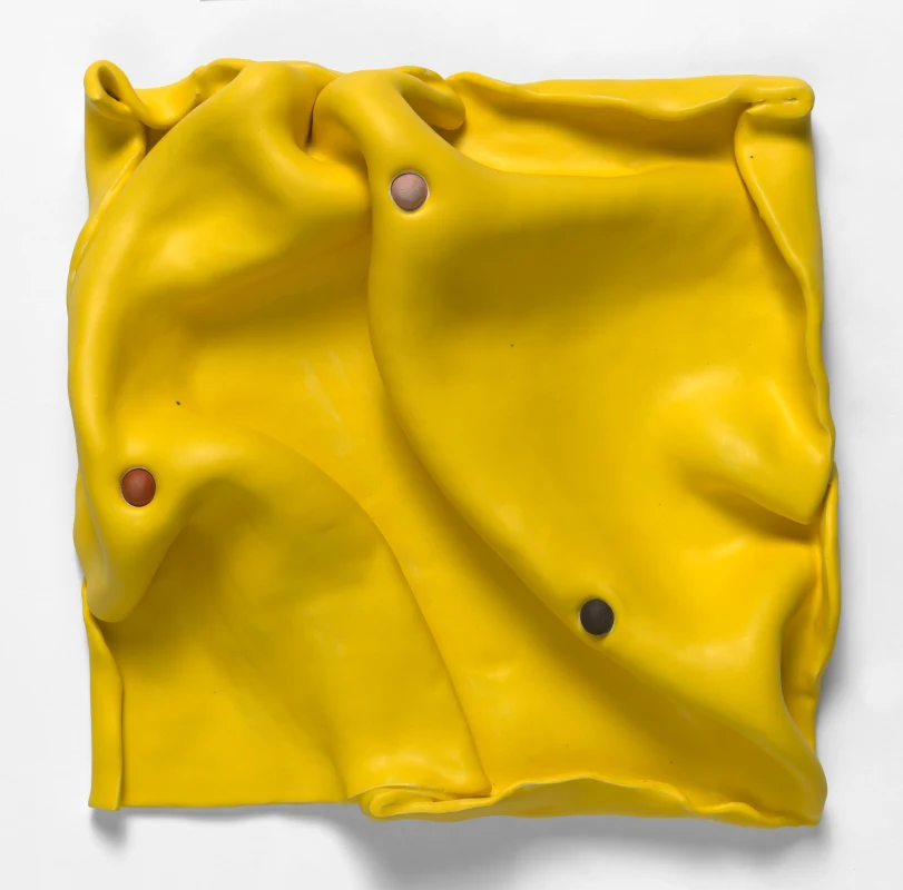 Image: Highlights of Recent Institutional Acquisitions