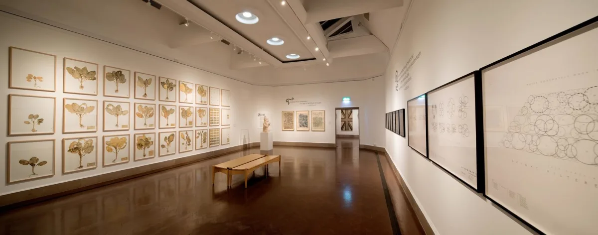 Image: 'Criminal Ornamentation'