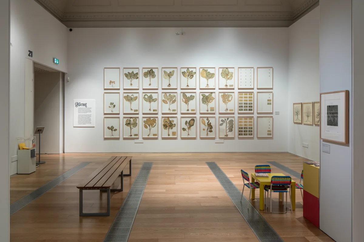 Image: 'Criminal Ornamentation'