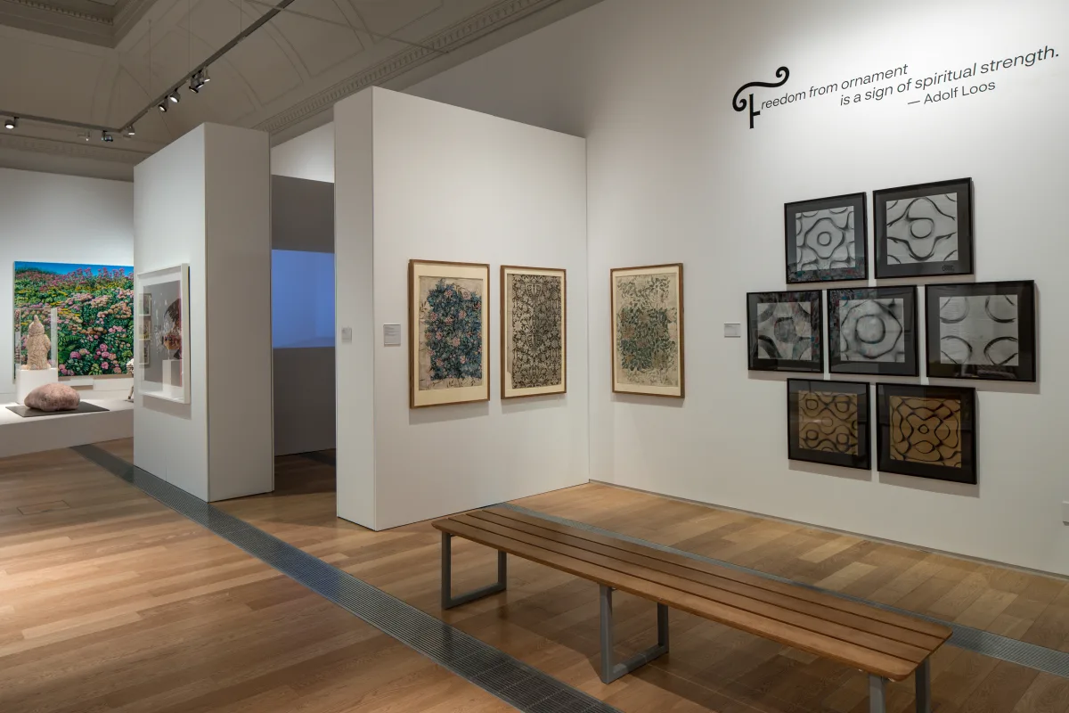 Image: 'Criminal Ornamentation'