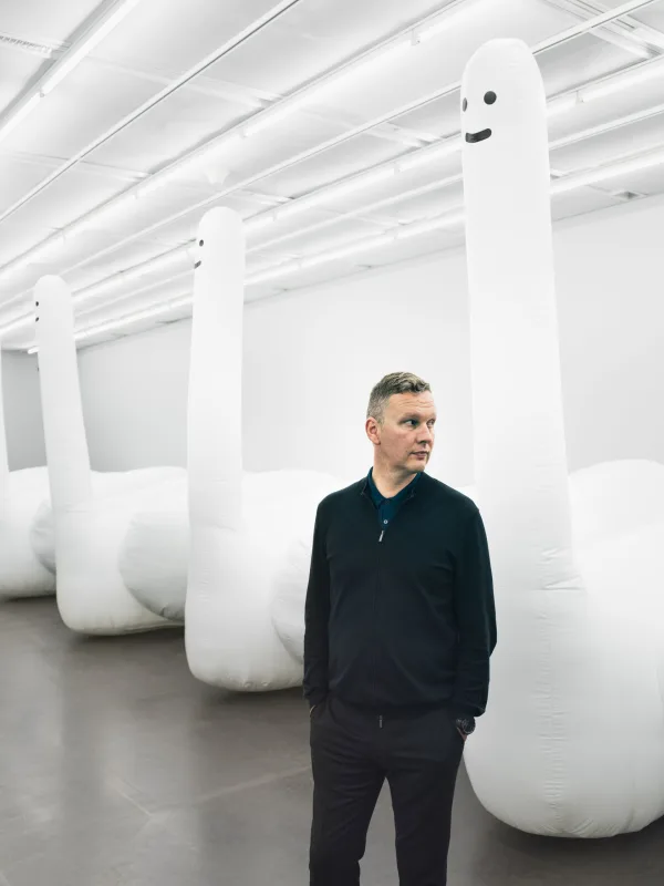 Image: David Shrigley, 'Exhibition of Inflatable Swan Things'