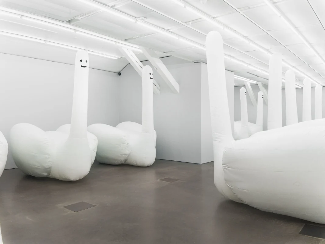 Image: David Shrigley, 'Exhibition of Inflatable Swan Things'