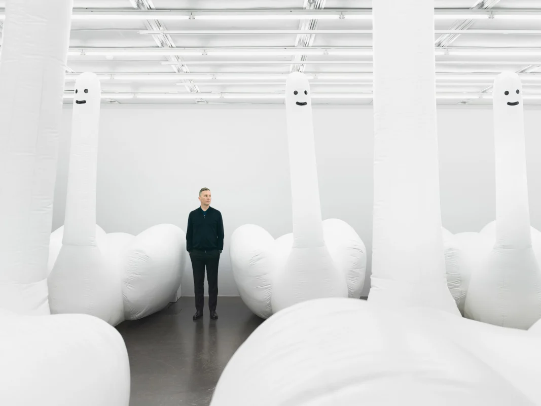 Image: David Shrigley, 'Exhibition of Inflatable Swan Things'