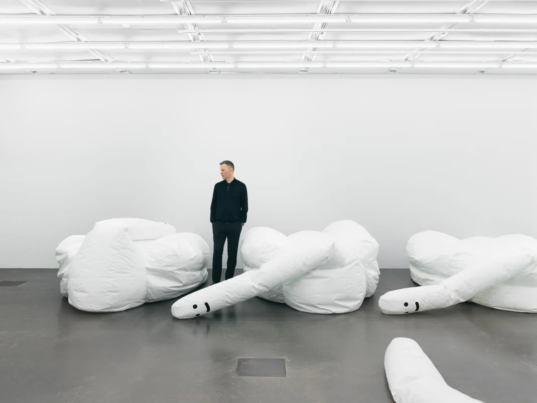 Image: David Shrigley, 'Exhibition of Inflatable Swan Things'