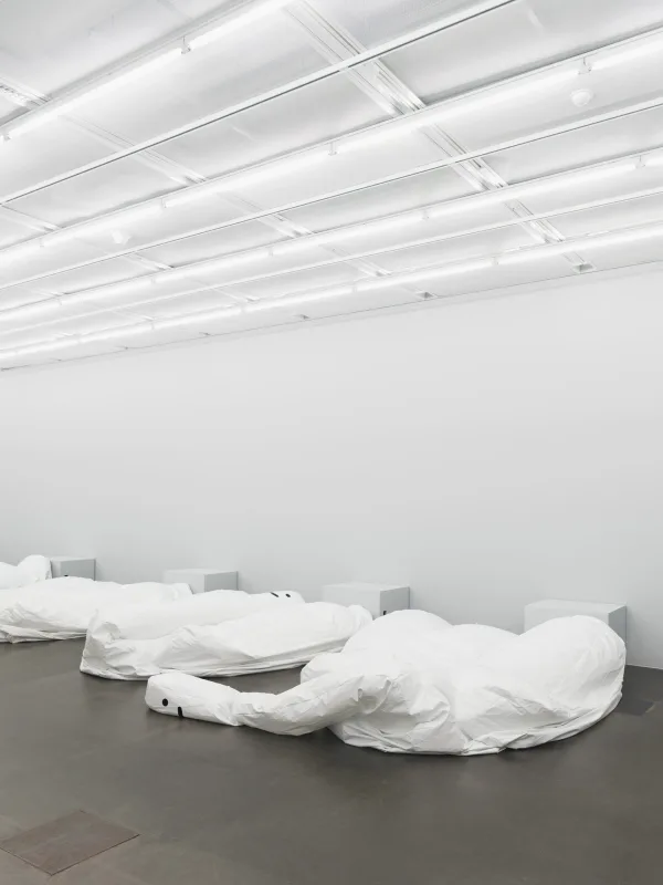Image: David Shrigley, 'Exhibition of Inflatable Swan Things'