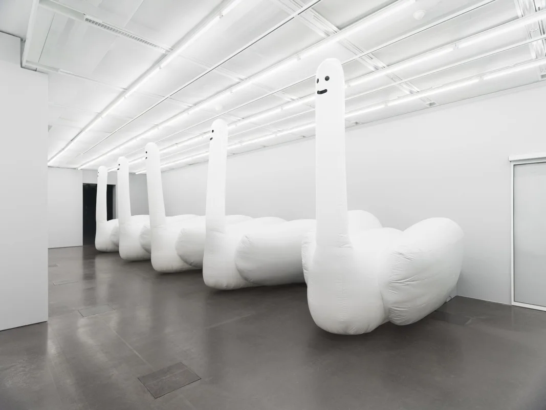 Image: David Shrigley, 'Exhibition of Inflatable Swan Things'