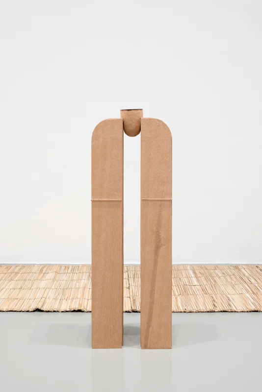 Image: Tonico Lemos Auad, The 15th Premio Lorenzo Bonaldi per l'Arte EnterPrize Exhibition