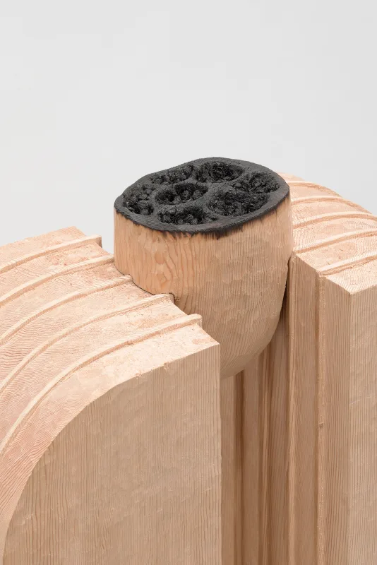 Image: Tonico Lemos Auad, The 15th Premio Lorenzo Bonaldi per l'Arte EnterPrize Exhibition