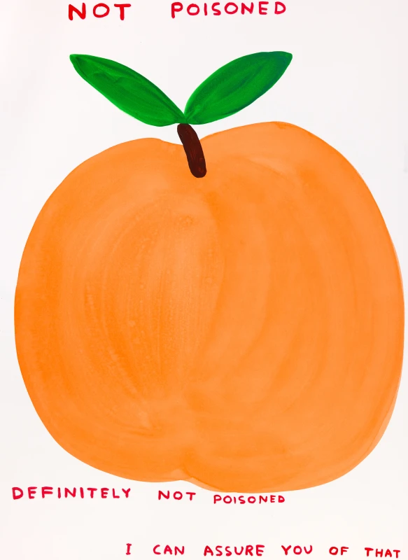 Image: David Shrigley releases new original works on paper