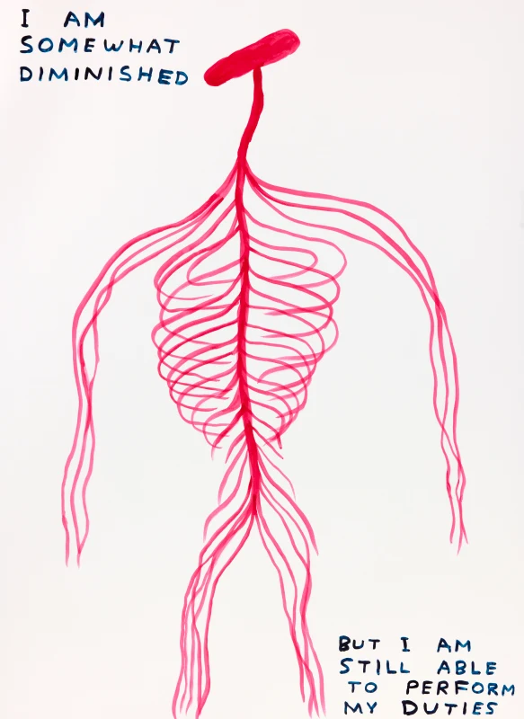 Image: David Shrigley releases new original works on paper