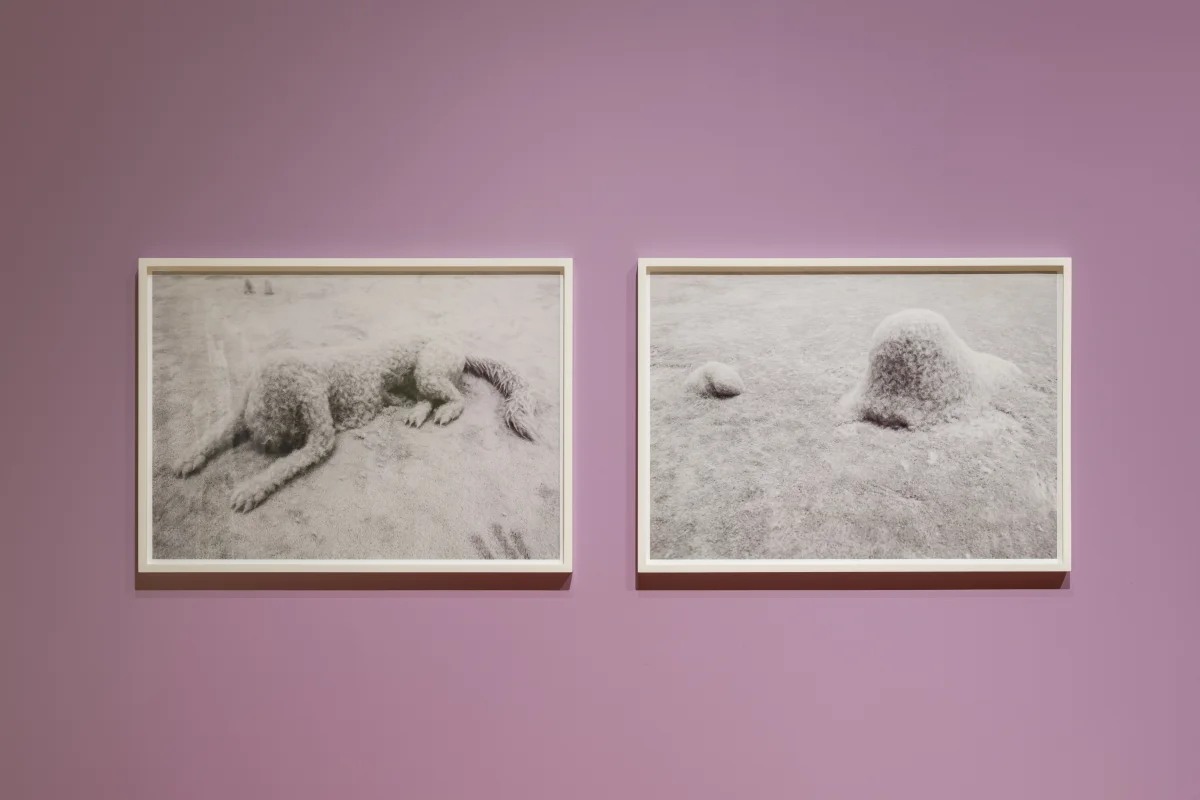 Image: Tonico Lemos Auad, Jonathan Baldock, Holly Hendry and Yinka Shonibare feature in ‘Material Worlds’