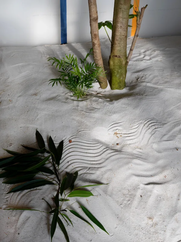 Image: Luiz Zerbini features in ‘Dreaming Awake’