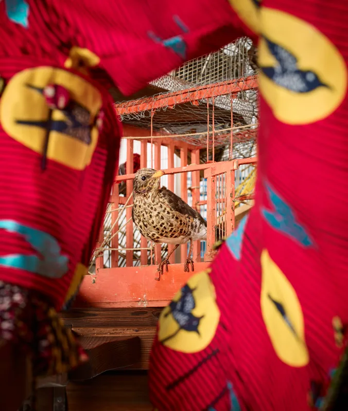 Image: Yinka Shonibare CBE, 'The Bird Catcher's Dilemma'