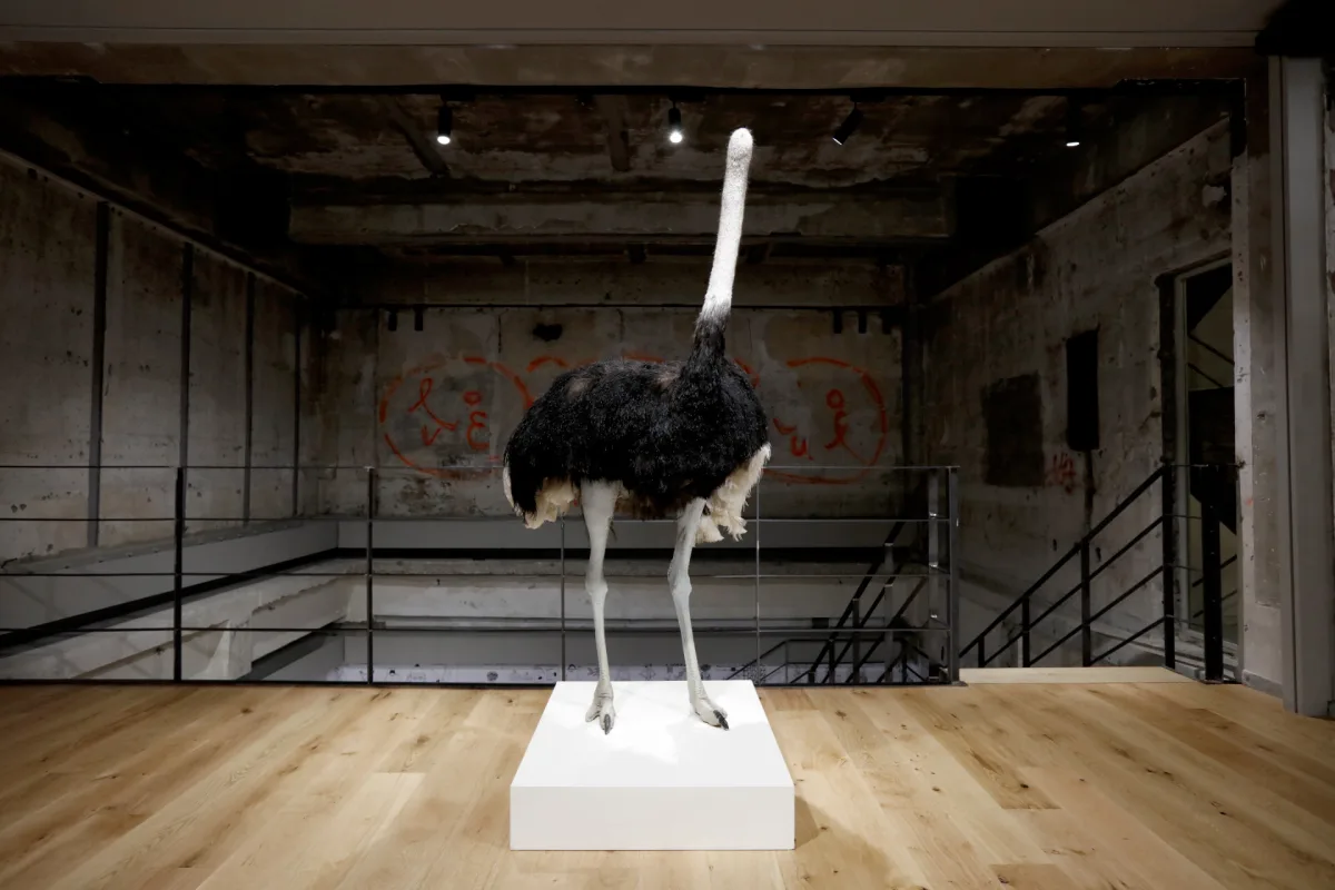 Image: 'David Shrigley: Lose Your Mind’