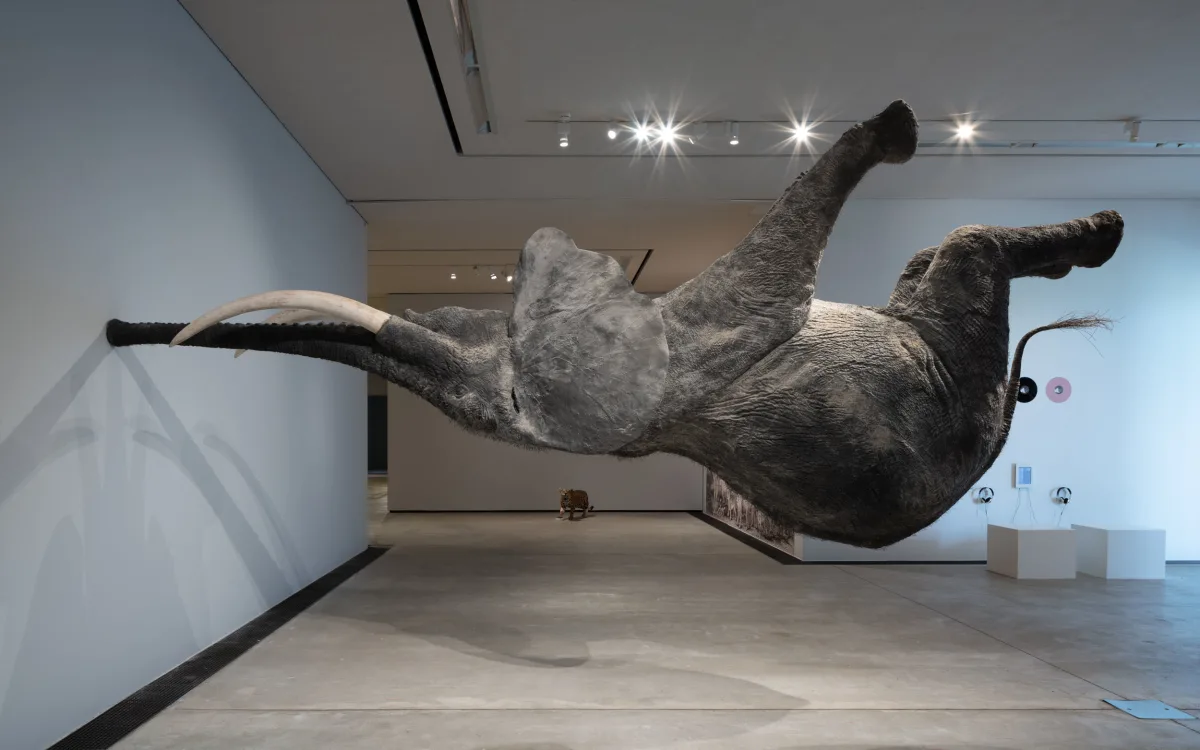 Image: Rivane Neuenschwander is included in ‘Animals in Art’