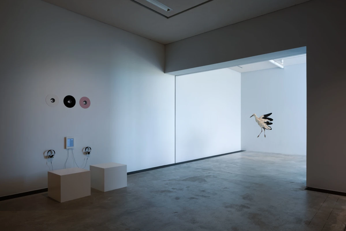Image: Rivane Neuenschwander is included in ‘Animals in Art’
