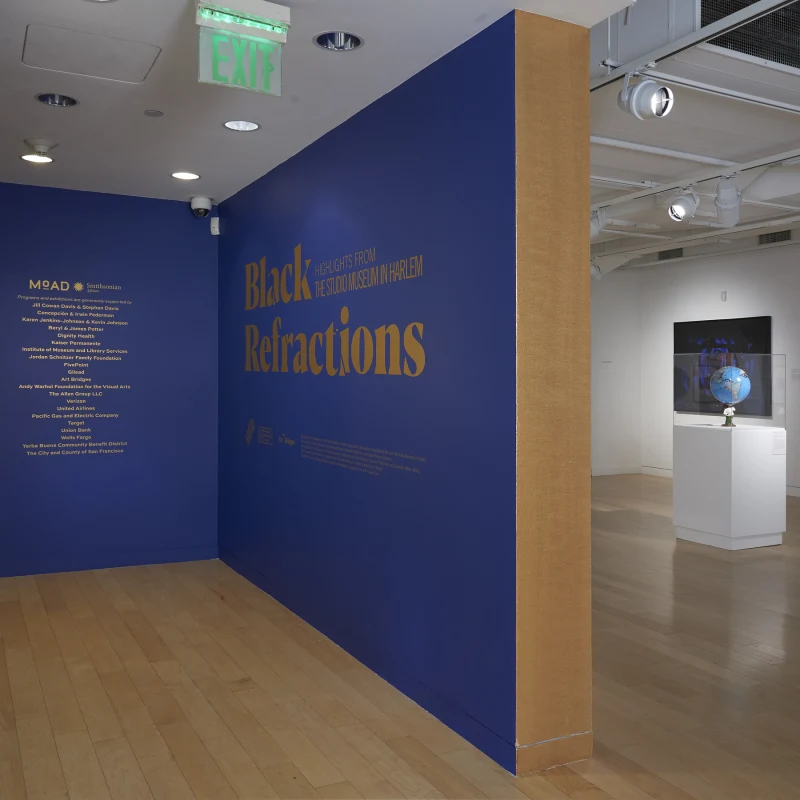 Image: Kehinde Wiley features in 'Black Refractions: Highlights from The Studio Museum in Harlem'