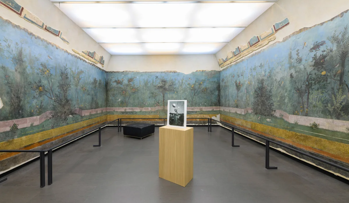 Image: Juan Araujo: CLOUDS AND SHADOWS ON MARS