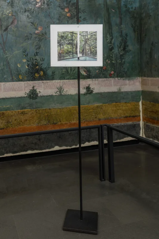 Image: Juan Araujo: CLOUDS AND SHADOWS ON MARS