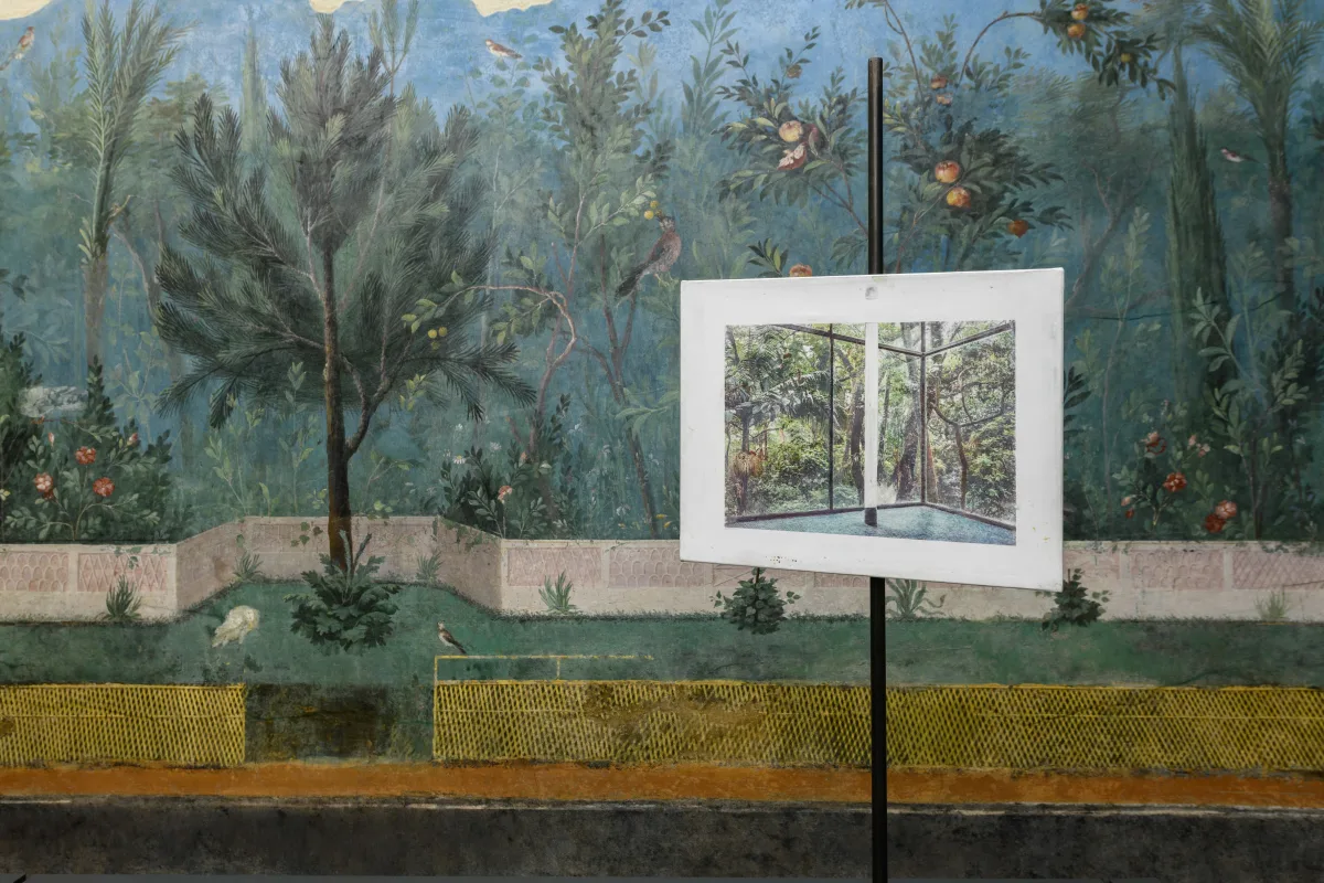 Image: Juan Araujo: CLOUDS AND SHADOWS ON MARS