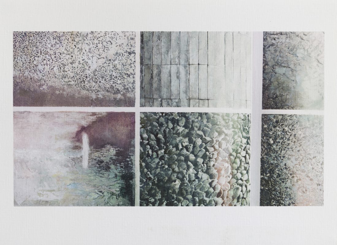 Image: Juan Araujo to give presentation at the 5th Edition of the Fundacion Cisneros Seminar