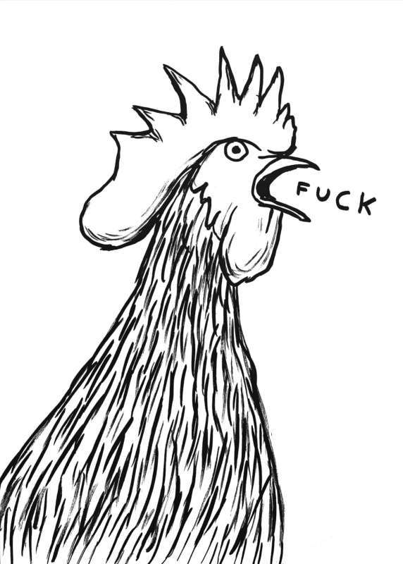 Image: David Shrigley discusses the simple way to get over blank page anxiety