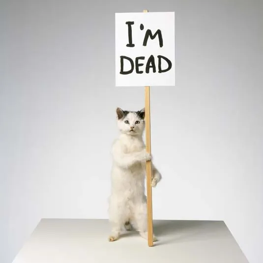 Image: David Shrigley features in 'The Horror Show!'