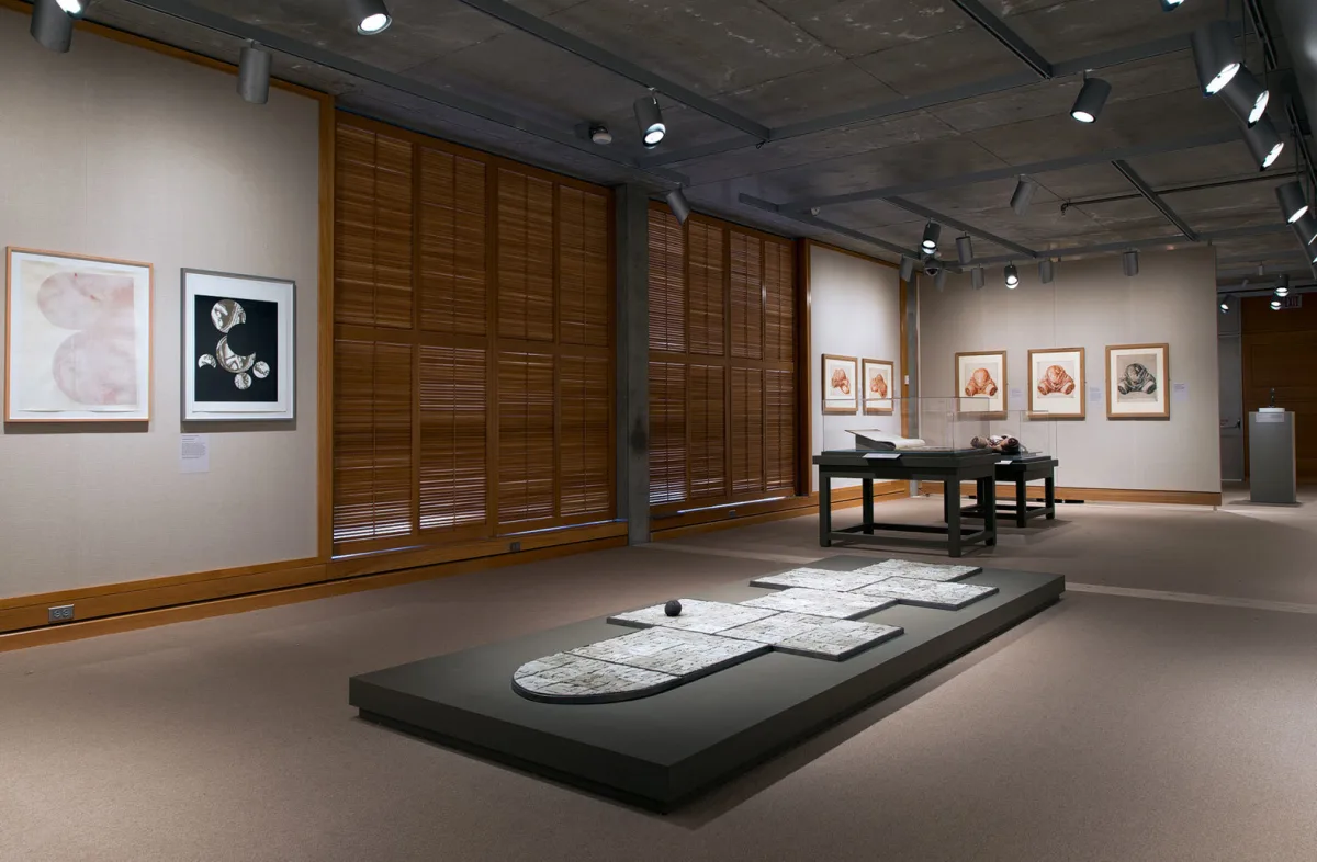 Image: Claire Barclay in 'William Hunter and the Anatomy of the Modern Museum'