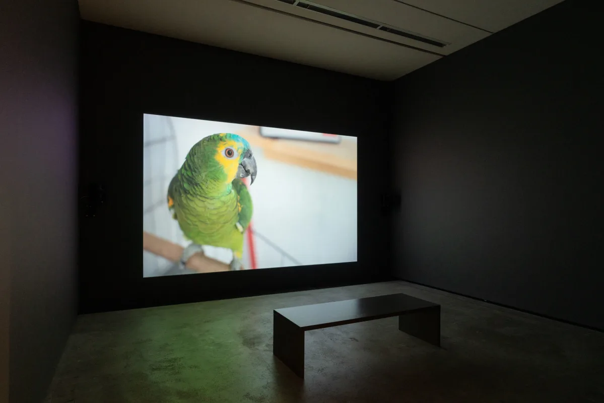 Image: Rivane Neuenschwander is included in ‘Animals in Art’