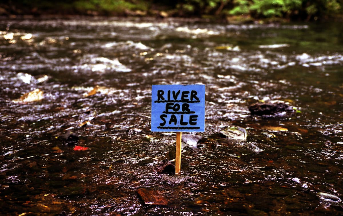 Image: David Shrigley features in ‘Earth Beats - The changing face of nature’
