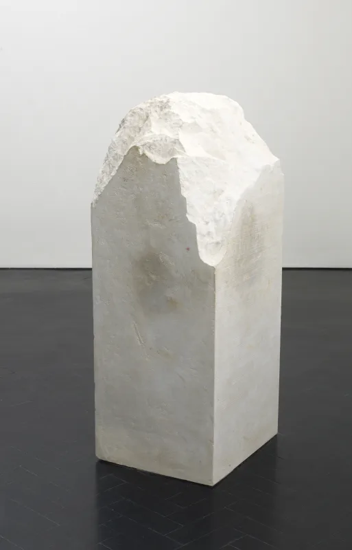 Image: Tonico Lemos Auad in 'Bordallianons do Brasil'