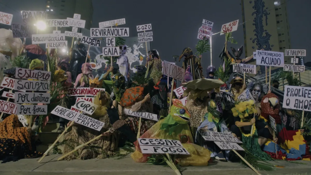 Image: Screening of Rivane Neuenschwander's 'I am a Macaw'