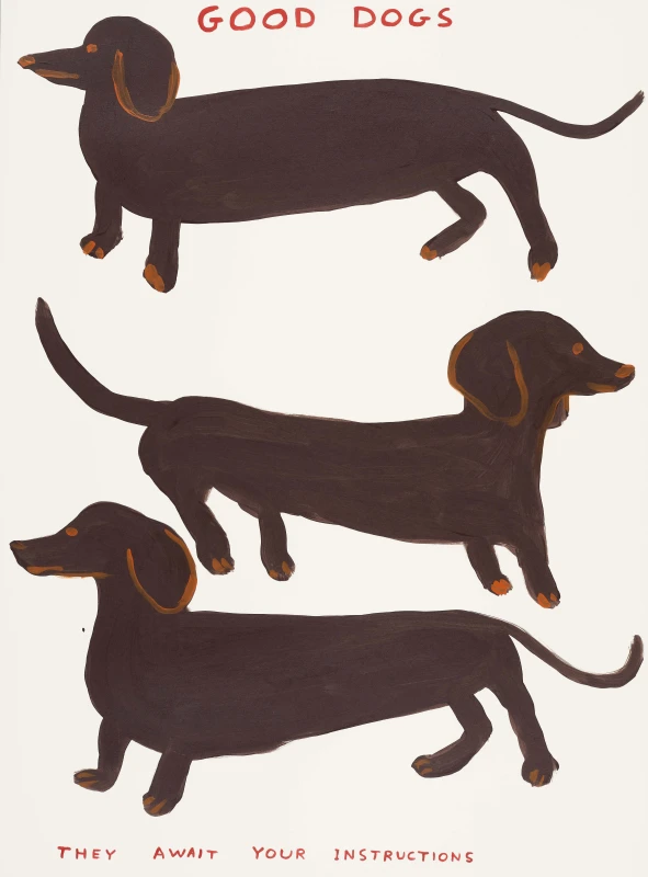 Image: David Shrigley features in 'Some Dogs Go to Dallas'