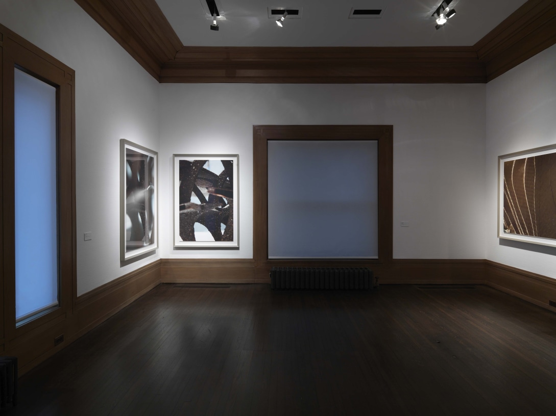 Model Studies Thomas Demand